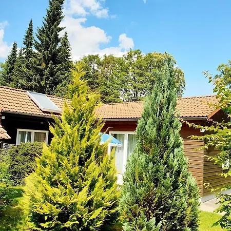 Siesta Hahnenklee Mit Grossem Grundstueck * Goslar