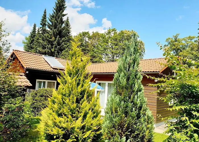 Siesta Hahnenklee Mit Grossem Grundstueck * Goslar