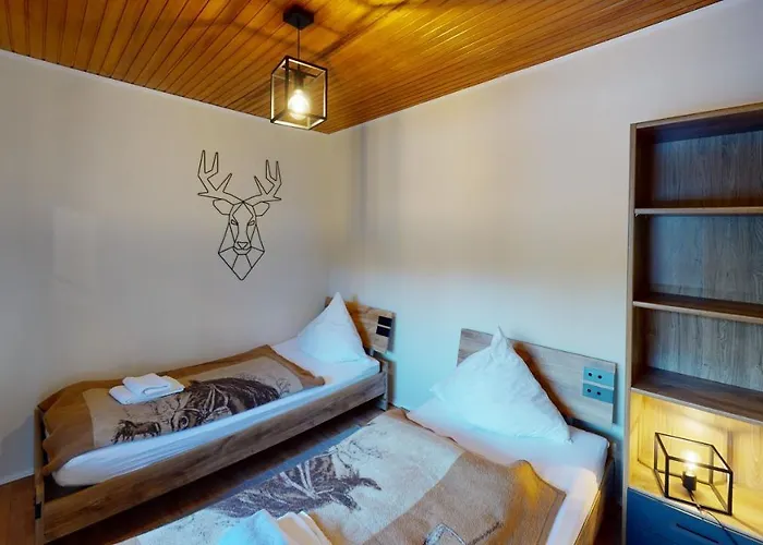 Siesta Hahnenklee Mit Grossem Grundstueck Tatil Evi