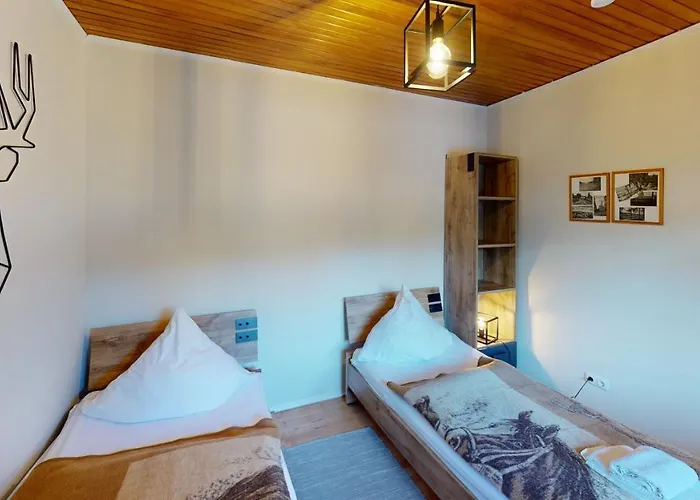 Siesta Hahnenklee Mit Grossem Grundstueck Tatil Evi