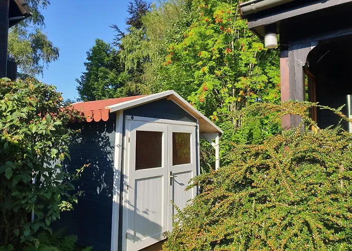 Tatil Evi Siesta Hahnenklee Mit Grossem Grundstueck Goslar